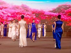 重慶第五屆職業教育活動周啟動，茶藝、扎染、3D打印與禮儀文化共展職教風采